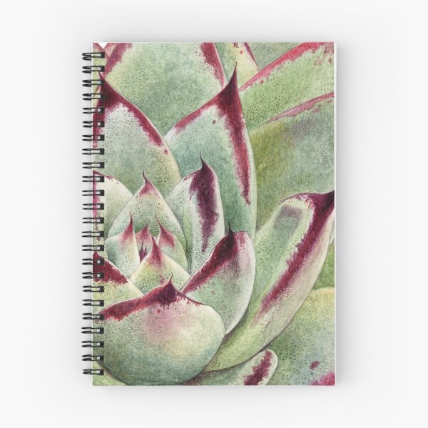 Item preview, Succulent Rosette - Botanical Art designed and sold by Stephanie Law.