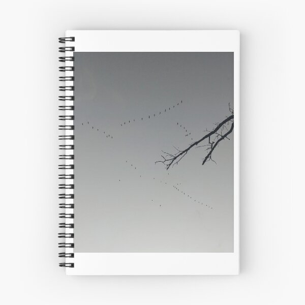 Artikelvorschau, Sky with Birds entworfen und verkauft von Spaghetti13.