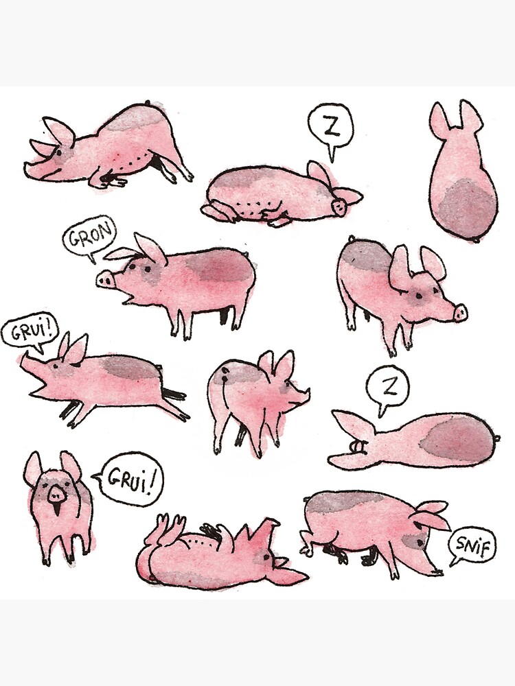 Thumbnail 3 of 3, Sticker, The pigs designed and sold by Chabdpointcom.