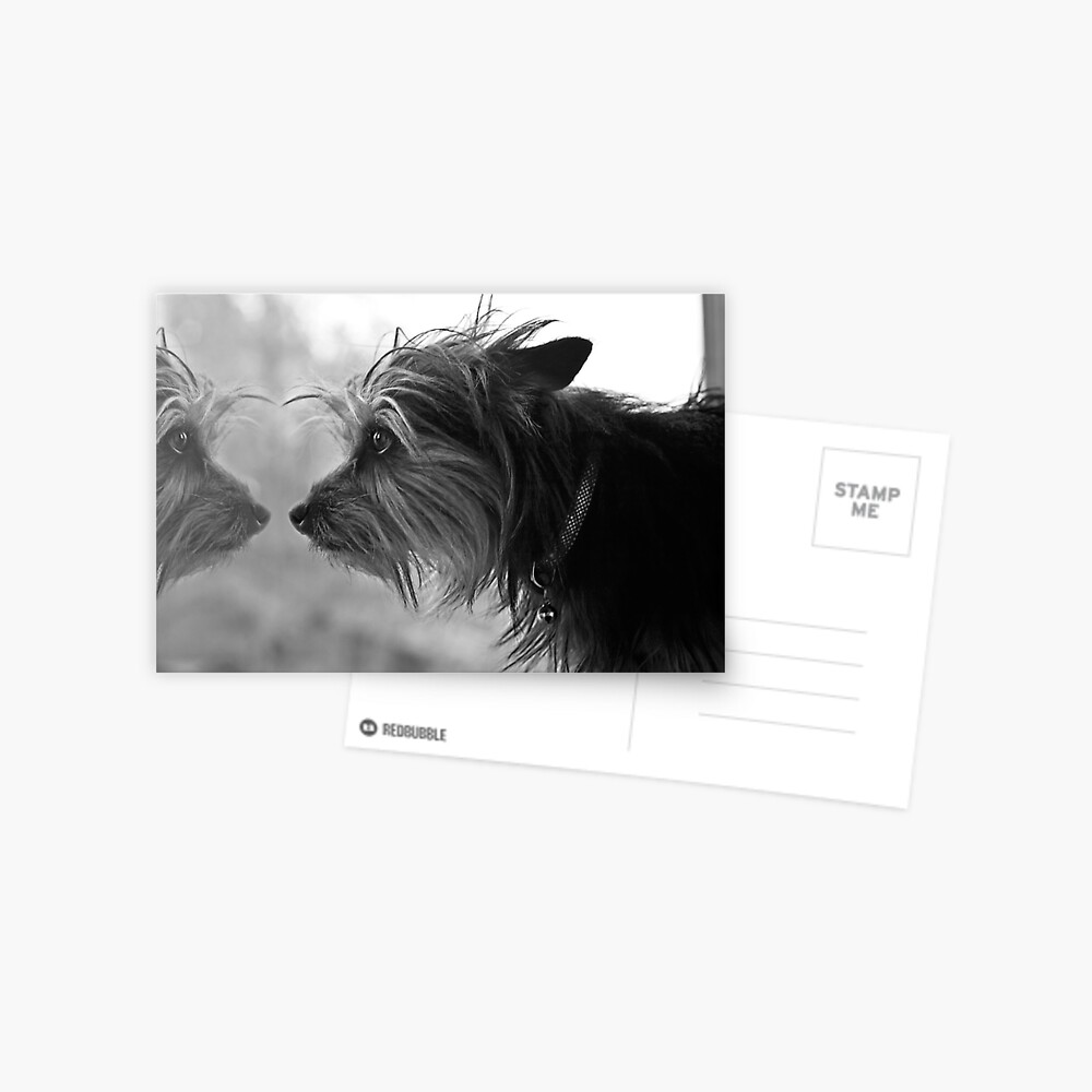 Item preview, Postcard designed and sold by believer9.