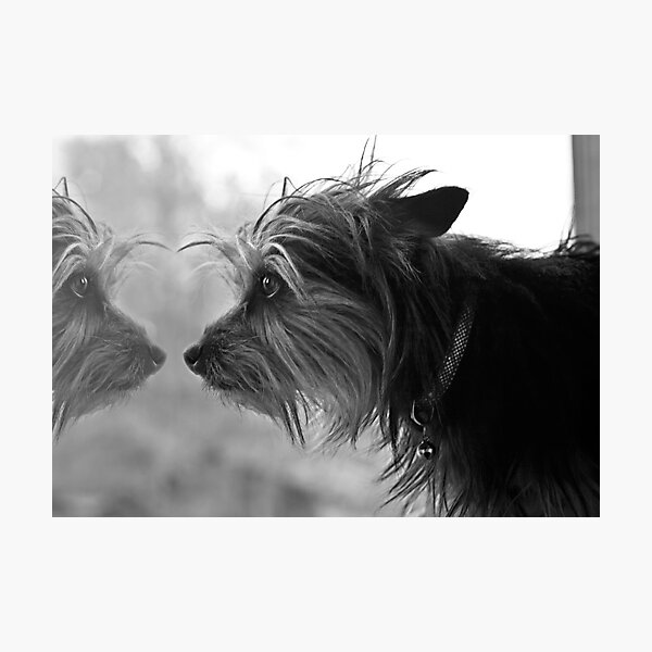 Missing You Photographic Print