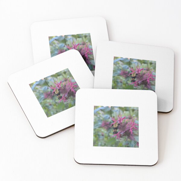 Item preview, Hummingbird Moth designed and sold by Bug Shots.