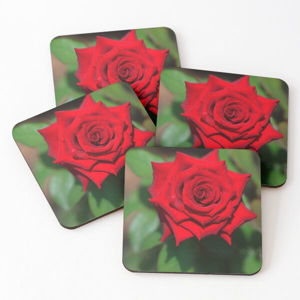 Item preview, Red rose on nature background designed and sold by olena2552.