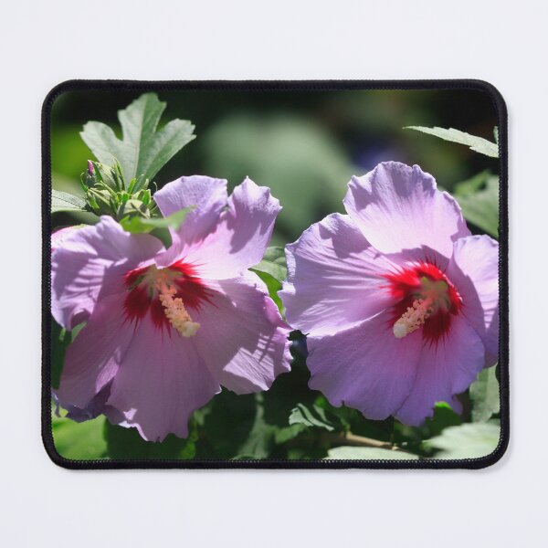 Item preview, Pink flowers in summer garden designed and sold by olena2552.