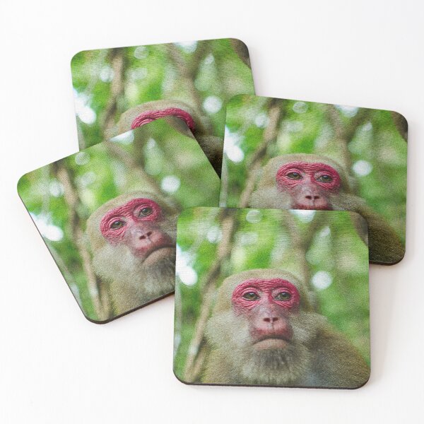 Item preview, Female Assamese Macaque,Female Monkey  designed and sold by Forest200220.