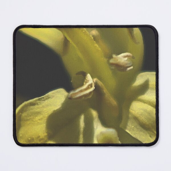 Item preview, Spectacle  designed and sold by Jason Tompkins.