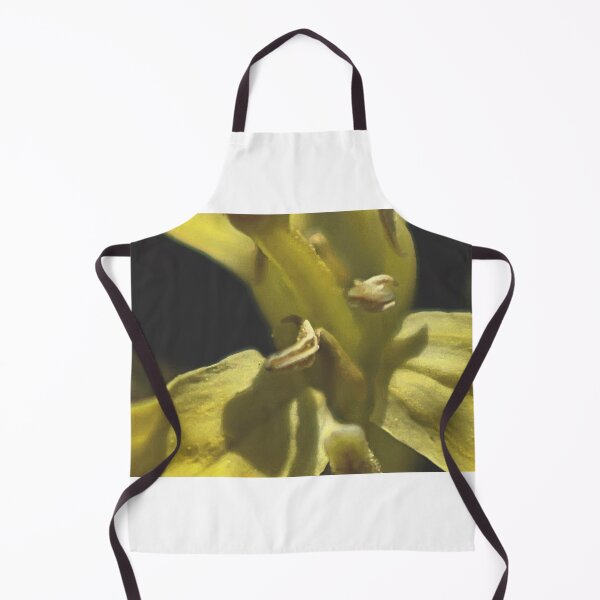 Item preview, Spectacle designed and sold by Jason Tompkins.