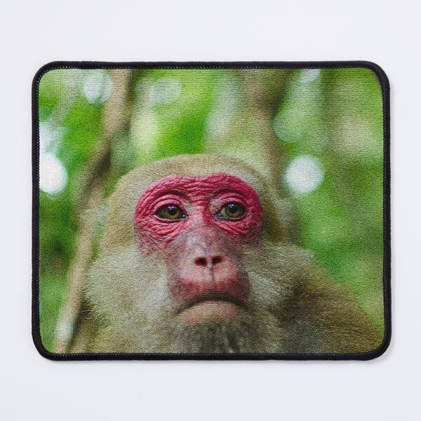 Item preview, Female Assamese Macaque,Female Monkey designed and sold by Forest200220.