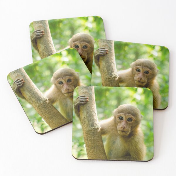 Item preview, Cute monkey in nature,Assamese Macaque designed and sold by Forest200220.