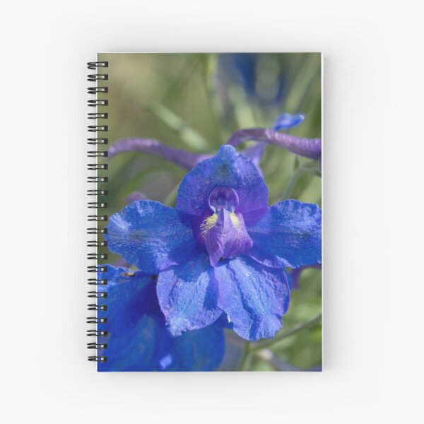 Item preview, Blue delphinium flowers blooming designed and sold by KRFNatureGifts.