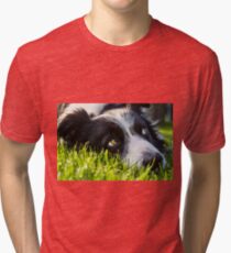 the look of a border collie Tri-blend T-Shirt