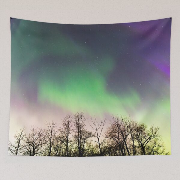 Item preview, Northern Lights Dancing over Trees designed and sold by Amy Mitchell.