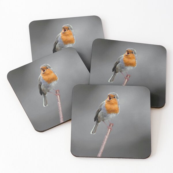 Item preview, Robin in Full Voice designed and sold by Tom McPherson Photography.