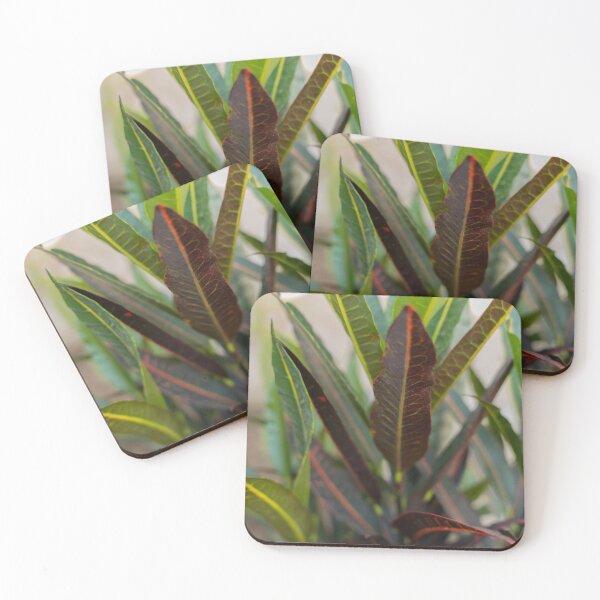 Item preview, Colorful Croton Leaves: Nature's Vibrant Palette designed and sold by Afurikana.