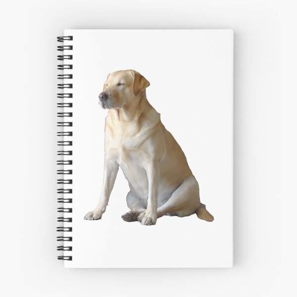 Artikelvorschau, Sitzender Hund entworfen und verkauft von HenryLt4.