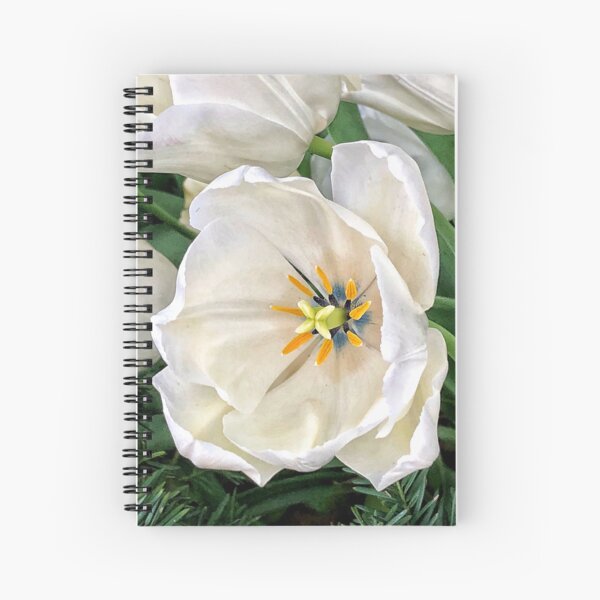 Item preview, Portrait Of A Flower designed and sold by MyPhotoDreams.