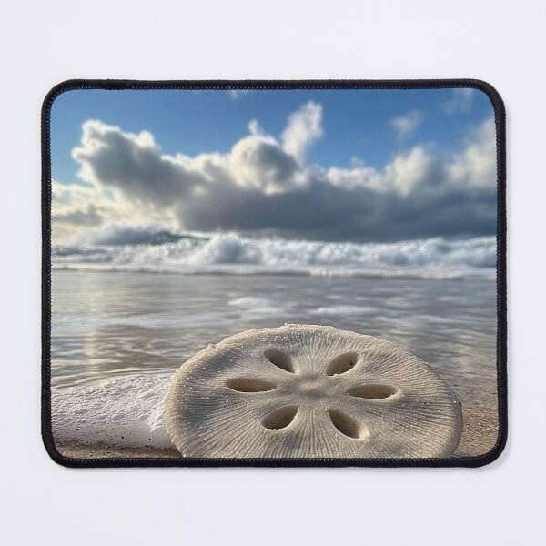 Item preview, Beautiful sand dollar ocean print designed and sold by dcrc.