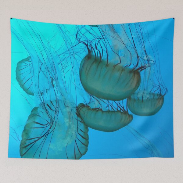 Item preview, Jellies - Original Photograph designed and sold by Jamie  Taylor.