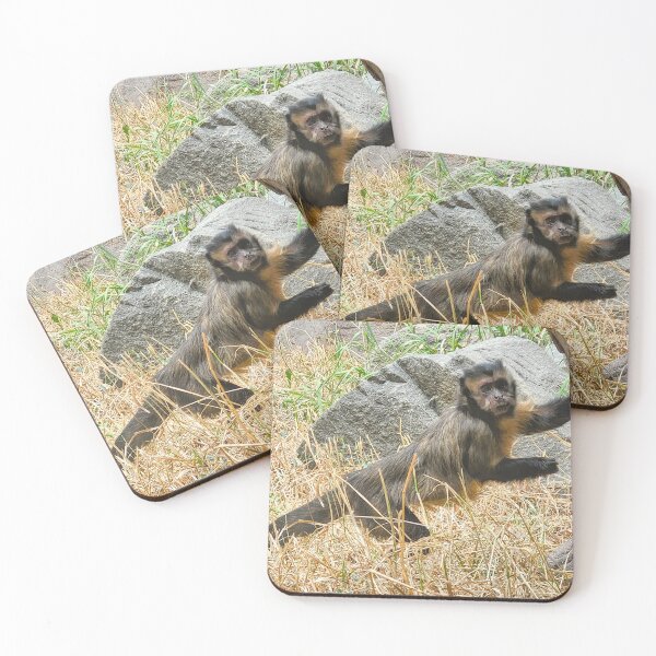 Item preview, The Capuchin Model designed and sold by theashleyyoung.