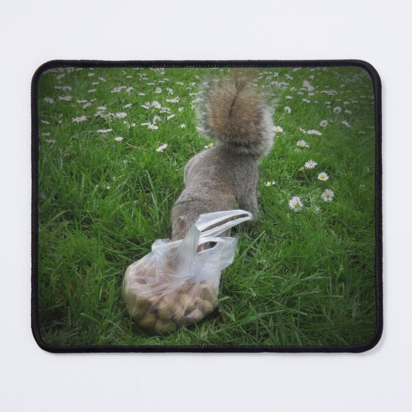 Item preview, Pinching the Nuts designed and sold by Sandra Willis.