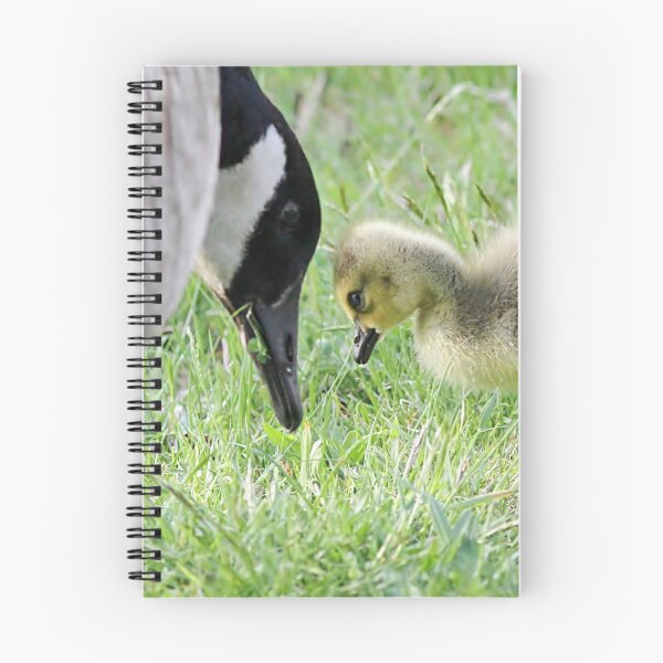 Item preview, Mama and me - Canada Geese designed and sold by Linda Crockett.