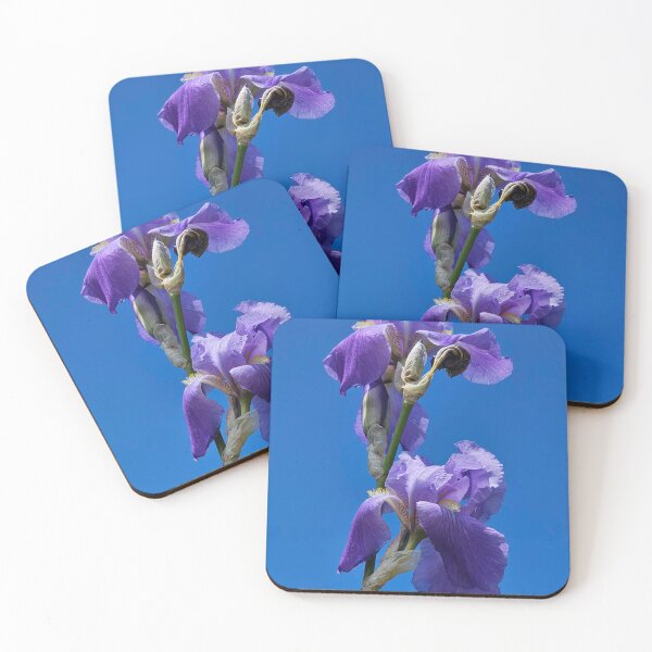 Item preview,  Irises designed and sold by Alla Gill.