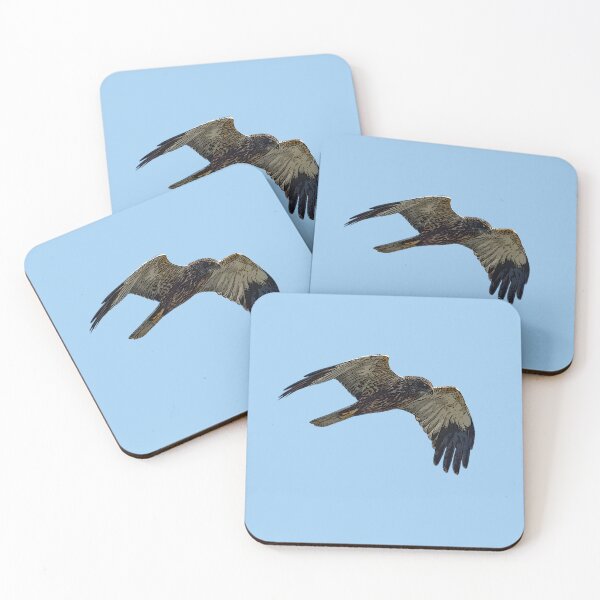 Item preview, Western Eurasian Marsh Harrier Color Design  designed and sold by designsasstultd.