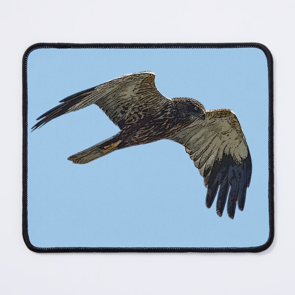 Item preview, Western Eurasian Marsh Harrier Color Design designed and sold by designsasstultd.