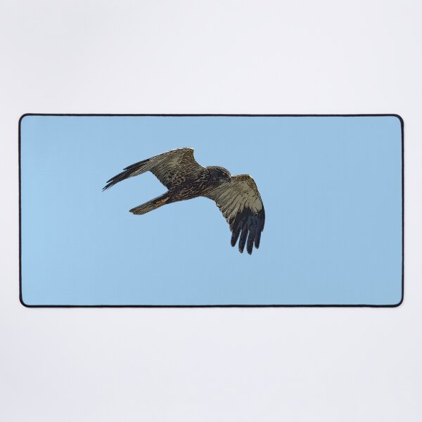 Item preview, Western Eurasian Marsh Harrier Color Design  designed and sold by designsasstultd.