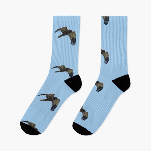 Item preview, Western Eurasian Marsh Harrier Color Design  designed and sold by designsasstultd.