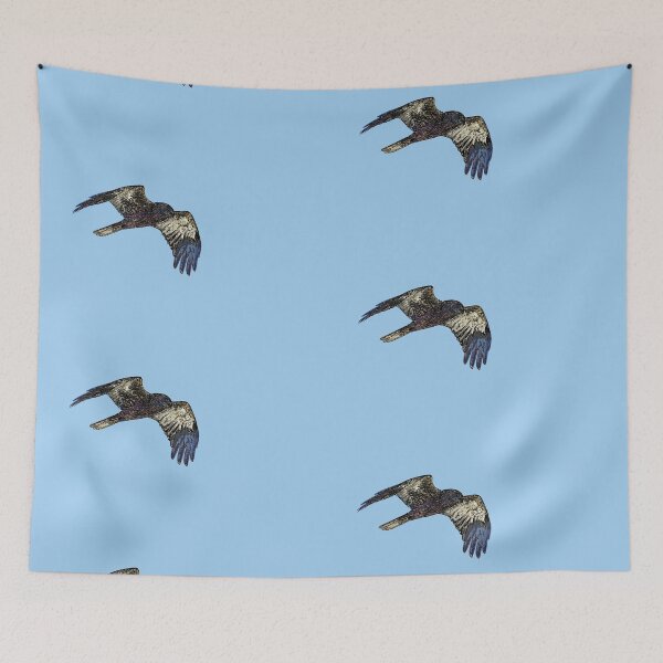 Item preview, Western Eurasian Marsh Harrier Black Alternate Design  designed and sold by designsasstultd.