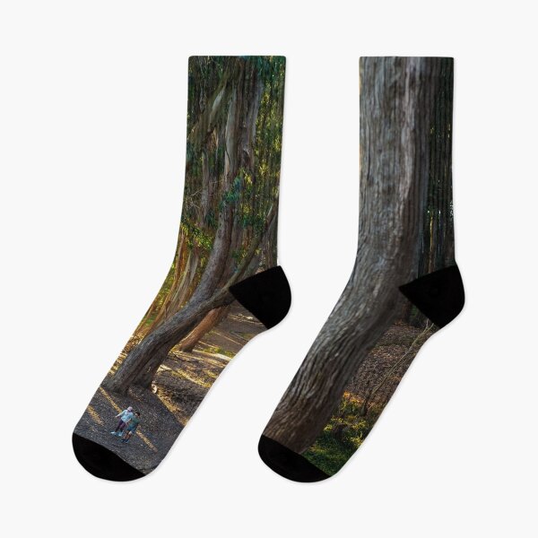 Item preview, Golden Hour Walk Among Eucalyptus Trees - The Presidio, San Francisco designed and sold by World Wondering Travel Photography.