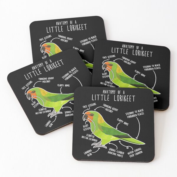Item preview, Little Lorikeet Parrot Anatomy designed and sold by Clara Hollins.