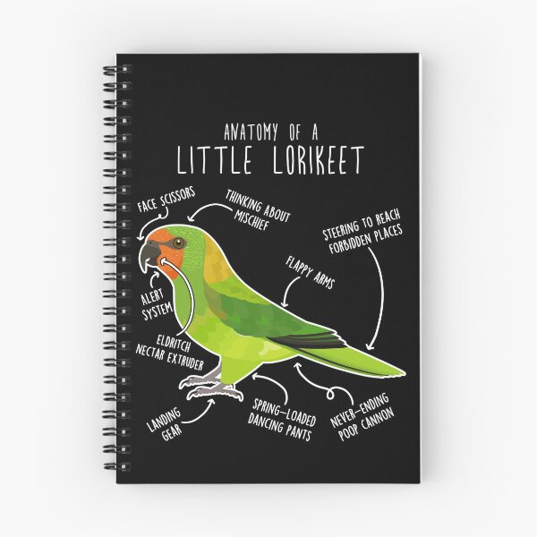 Item preview, Little Lorikeet Parrot Anatomy designed and sold by Clara Hollins.