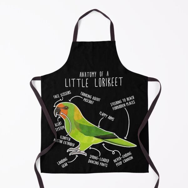 Item preview, Little Lorikeet Parrot Anatomy designed and sold by Clara Hollins.