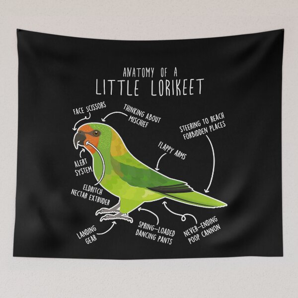 Item preview, Little Lorikeet Parrot Anatomy designed and sold by Clara Hollins.