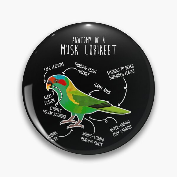 Item preview, Musk Lorikeet Parrot Anatomy designed and sold by Clara Hollins.