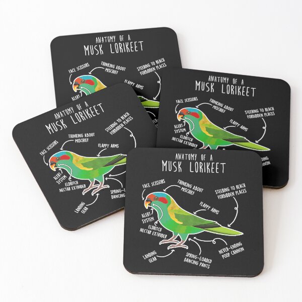 Item preview, Musk Lorikeet Parrot Anatomy designed and sold by Clara Hollins.