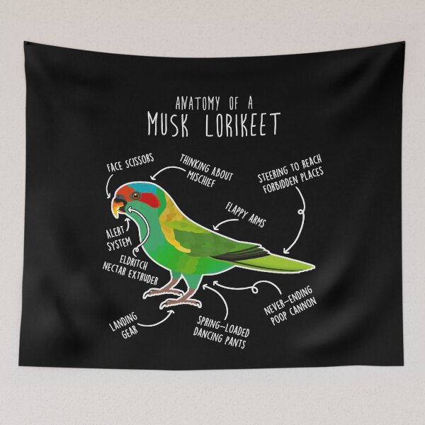 Item preview, Musk Lorikeet Parrot Anatomy designed and sold by Clara Hollins.