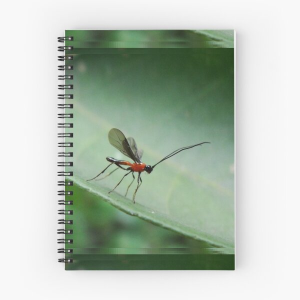 Item preview, Macro de hormiga voladora designed and sold by HenryLt4.