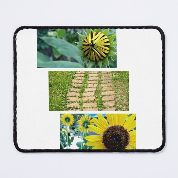 Artikelvorschau, Sonnenblumen am Wegesrand entworfen und verkauft von AG-naturePhotos.