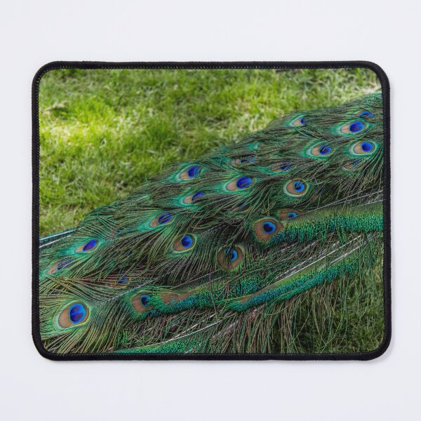 Item preview, Peacock's Tail Feathers in Detail designed and sold by Mel Moreno.