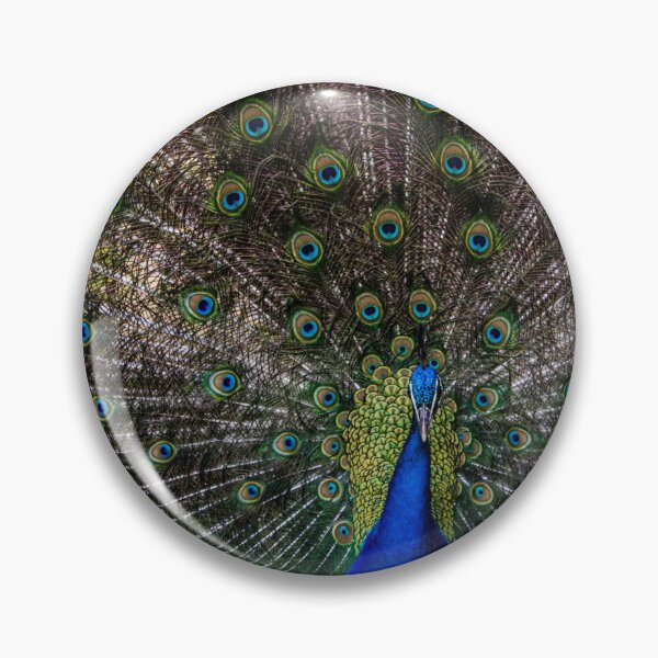 Item preview, Majestic Peacock Display designed and sold by Mel Moreno.