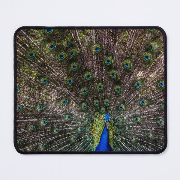 Item preview, Majestic Peacock Display designed and sold by Mel Moreno.