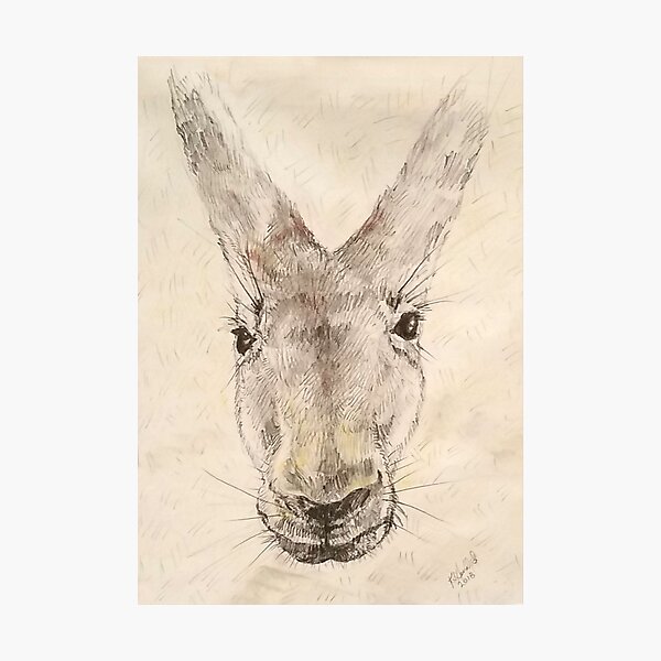 Item preview, Kangaroo designed and sold by KHerald.