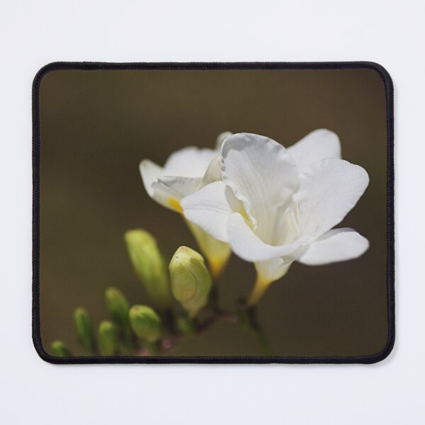 Item preview, So Elegant Freesia Flowers designed and sold by Joy Watson - Natural Light Photography .