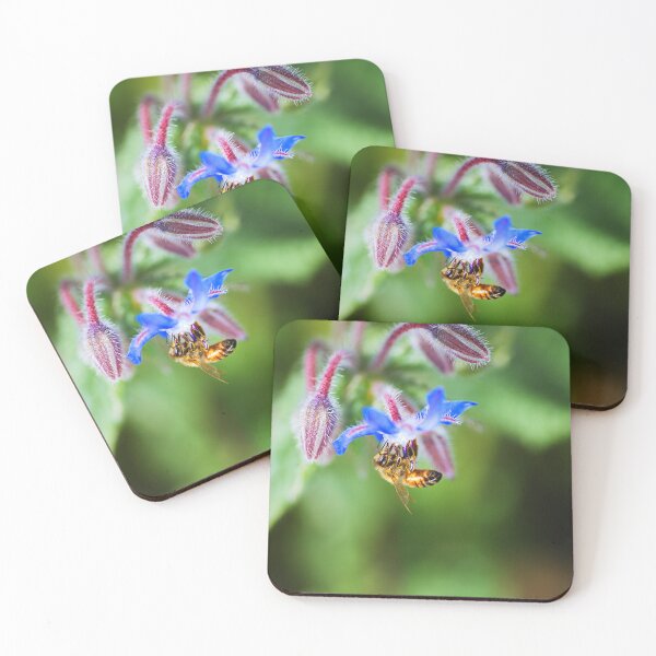 Item preview, The Balancing Bee On Borage Flower designed and sold by Joy Watson - Natural Light Photography .