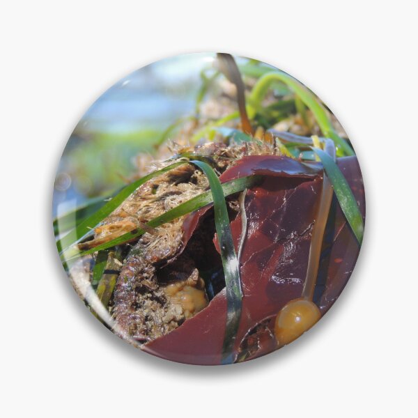 Item preview, In the (sea)weeds designed and sold by emarinelife.