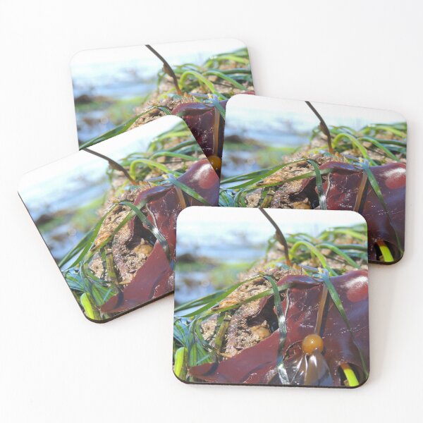 Item preview, In the (sea)weeds designed and sold by emarinelife.