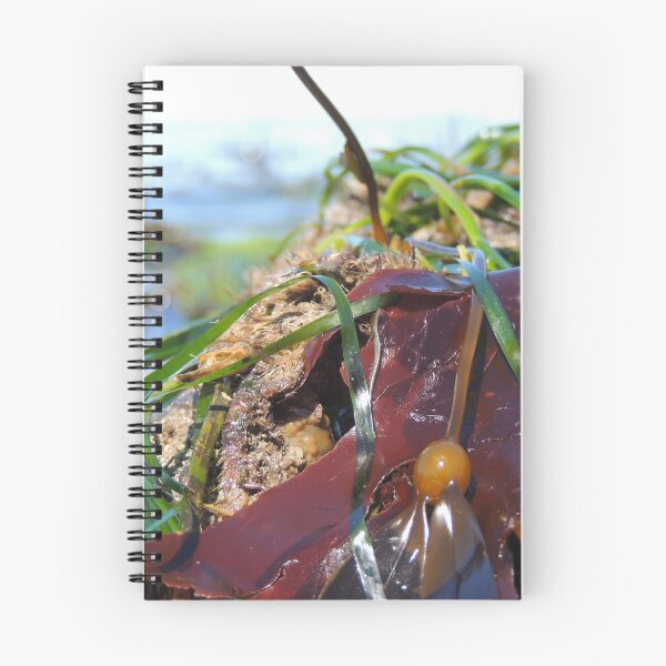 Item preview, In the (sea)weeds designed and sold by emarinelife.